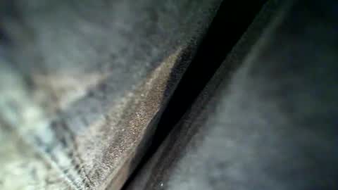 Snapshot of flash1372 chatting on February 2026 04:13:02 AM flash online show from February 2026 04:13:02 AM