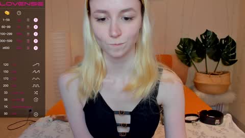 FlexiMona online show from December 2024 12:52:01 PM