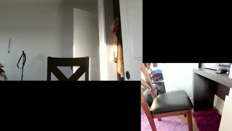 Snapshot of flexymodern chatting on March 2025 12:28:01 PM Matt Masterson online show from March 2025 12:28:01 PM