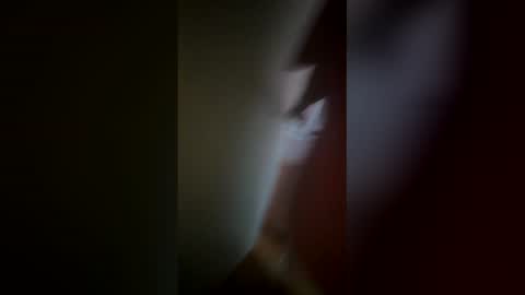 Snapshot of flirtygirlyy chatting on February 2026 08:04:01 PM Ive Retired From Camming online show from February 2026 08:04:01 PM