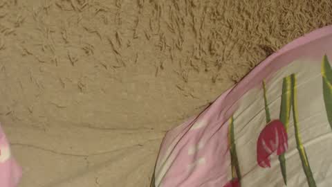 say meow and send tip  online show from December 2024 07:07:02 PM