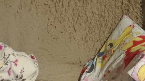 say meow and send tip  online show from February 2025 02:38:02 PM