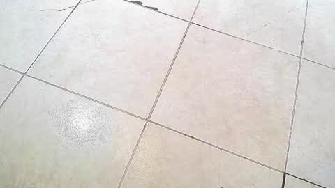 flyckers online show from September 2025 08:19:01 PM