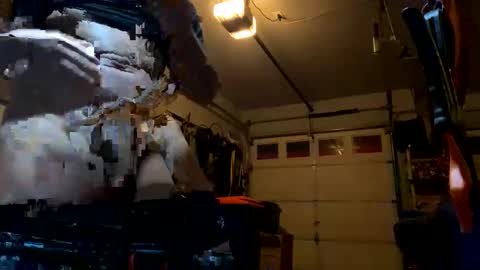 fokai381 online show from October 2025 04:13:02 AM