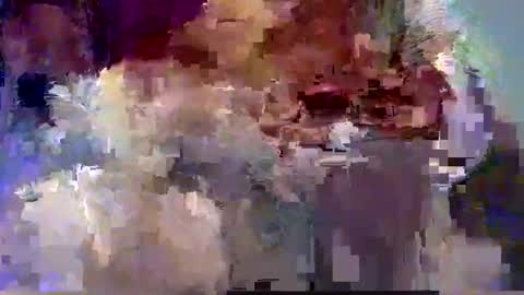 forest133 online show from December 2024 07:59:02 PM