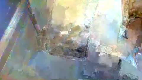 forest133 online show from January 2025 01:36:02 PM