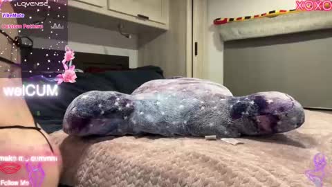 Elaine online show from September 2025 04:28:01 PM