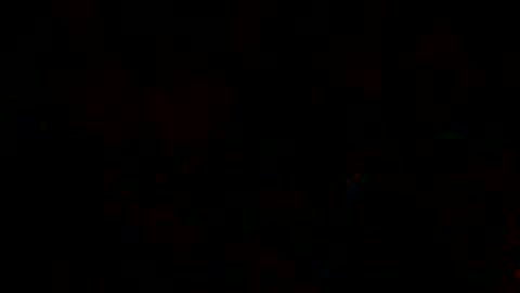 Snapshot of fox_hev chatting on February 2025 06:39:01 AM fox hev online show from February 2025 06:39:01 AM