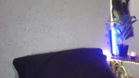 fox_red_lady7 online show from February 2025 06:21:02 PM