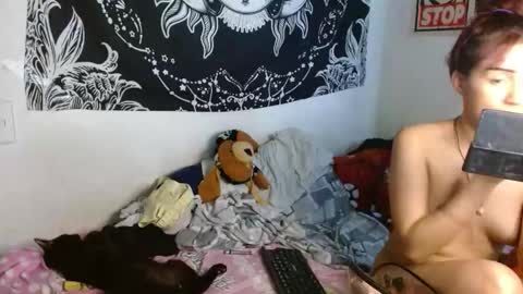 Snapshot of foxxxy_blexxxed chatting on September 2025 10:54:01 PM Foxxxy Blexxxed online show from September 2025 10:54:01 PM