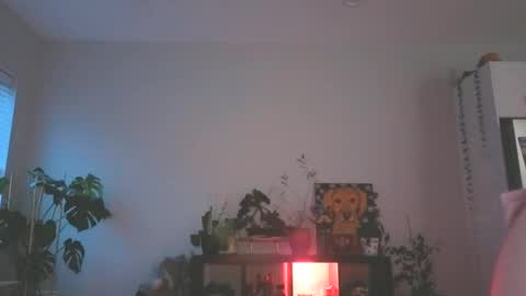 beautiful blair online show from December 2025 11:21:01 PM