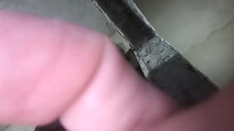frankdanielsmolano online show from July 2026 06:32:02 PM