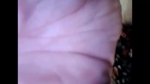 Snapshot of frecklesandsparky chatting on April 2026 02:25:01 PM frecklesandsparky online show from April 2026 02:25:01 PM
