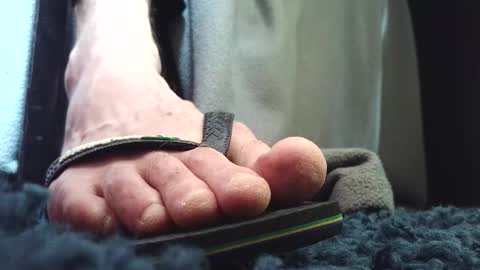 Greedy Fred online show from March 2026 04:22:02 PM