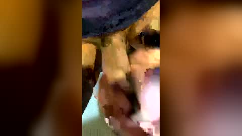 Snapshot of freestpeople chatting on April 2026 01:55:02 AM freestpeople online show from April 2026 01:55:02 AM