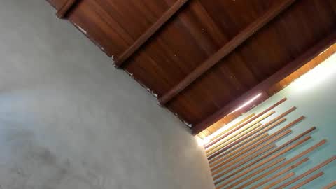 Xavier online show from March 2026 02:08:02 AM