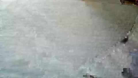 frenchpapalover online show from December 2024 12:33:01 PM