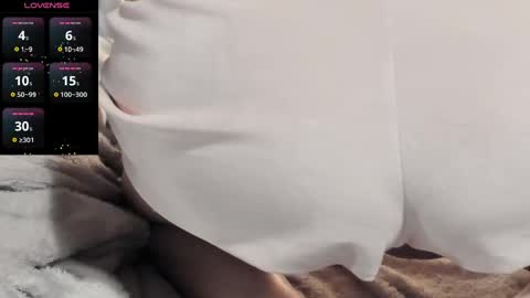 Meadow online show from January 2025 09:44:02 AM