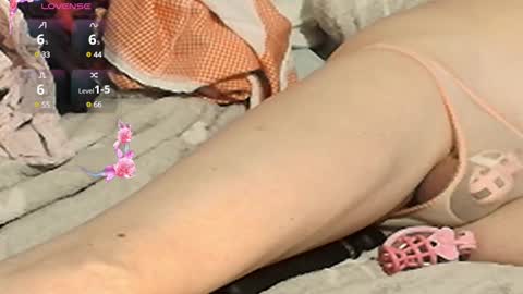 Meadow online show from February 2025 06:53:01 PM