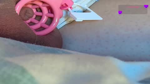 Meadow online show from March 2025 09:35:02 AM