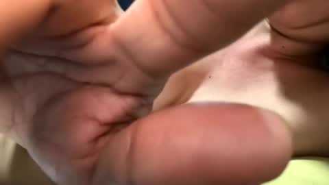 carolina online show from February 2026 06:12:02 PM