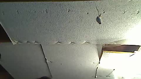 fromanotherplanet24 online show from March 2026 11:41:01 PM