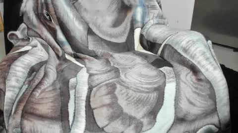 Snapshot of froy4989 chatting on January 2025 09:02:01 PM Froy4989 online show from January 2025 09:02:01 PM