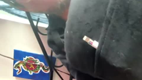 Snapshot of ftm_0 chatting on December 2025 06:25:02 PM ftm_0 online show from December 2025 06:25:02 PM