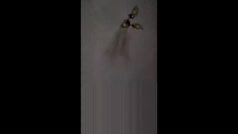 fucktoy972955 online show from February 2026 03:16:02 AM