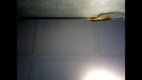 Warwick online show from December 2024 07:21:01 AM