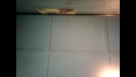 Warwick online show from December 2024 11:46:02 PM