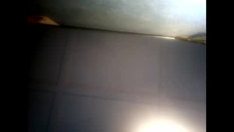 Warwick online show from December 2024 07:38:02 AM