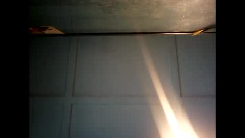 Warwick online show from December 2024 11:24:01 PM