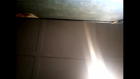 Warwick online show from December 2024 07:37:01 AM