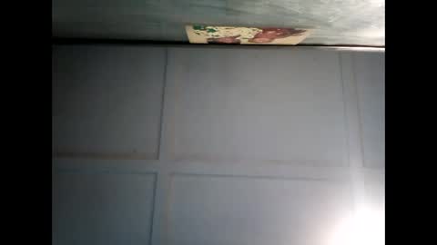 Warwick online show from December 2024 07:31:01 AM