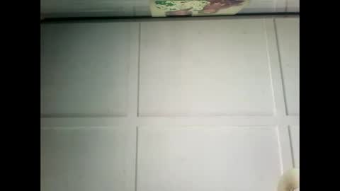 Warwick online show from December 2024 03:28:02 AM