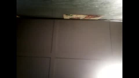 Warwick online show from December 2024 08:23:02 AM