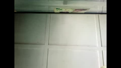 Warwick online show from December 2024 02:56:02 AM