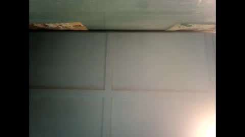 Warwick online show from December 2024 06:12:02 AM