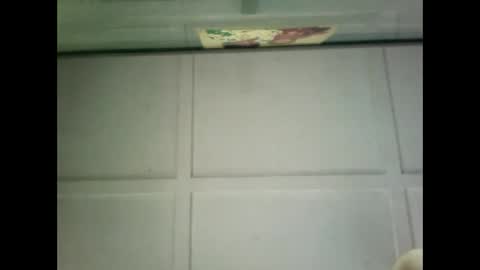 Warwick online show from December 2024 07:00:02 AM