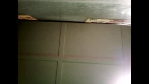 Warwick online show from December 2024 12:00:02 PM