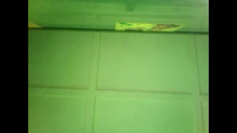 Warwick online show from December 2024 06:57:02 AM