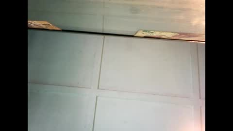 Warwick online show from December 2024 11:42:01 PM