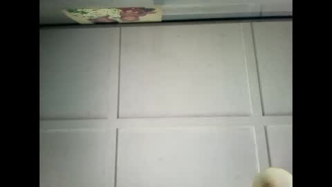 Warwick online show from December 2024 02:38:02 AM