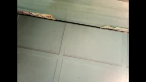 Warwick online show from January 2025 04:01:02 AM