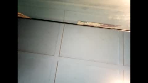 Warwick online show from January 2025 01:31:02 AM