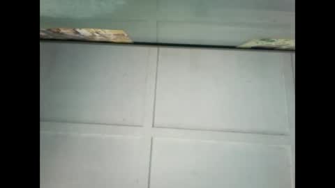 Warwick online show from January 2025 10:09:01 PM