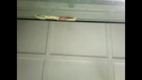 Warwick online show from January 2025 06:24:01 AM