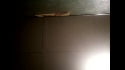 Warwick online show from January 2025 11:58:02 AM