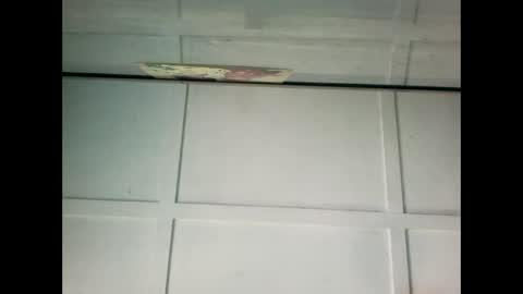 Warwick online show from January 2025 12:04:02 AM